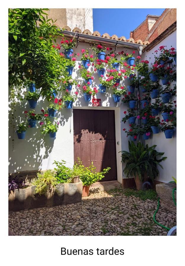 Casa Rural "Laplaza23" Herrera del Duque 外观 照片