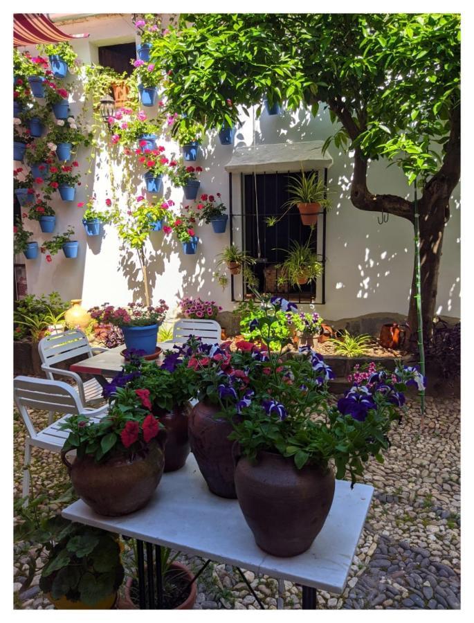 Casa Rural "Laplaza23" Herrera del Duque 外观 照片