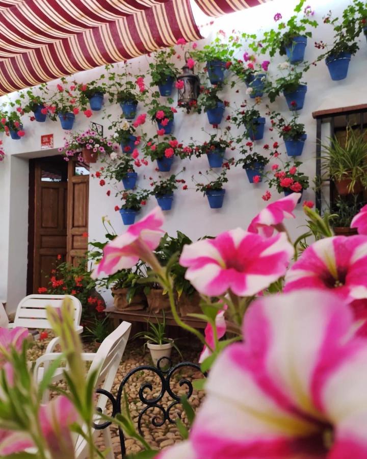 Casa Rural "Laplaza23" Herrera del Duque 外观 照片