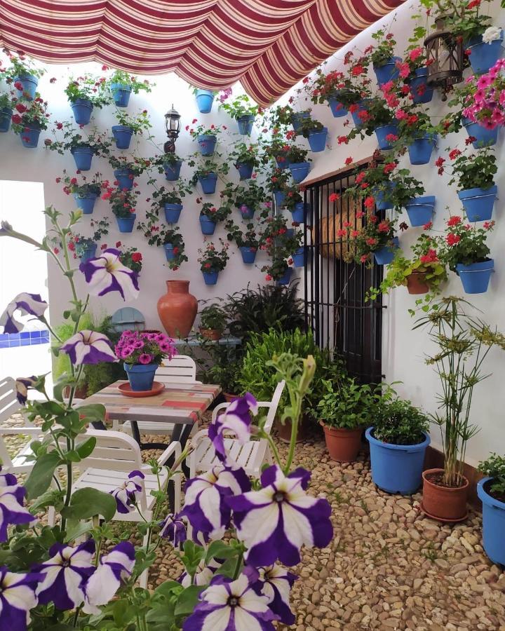 Casa Rural "Laplaza23" Herrera del Duque 外观 照片